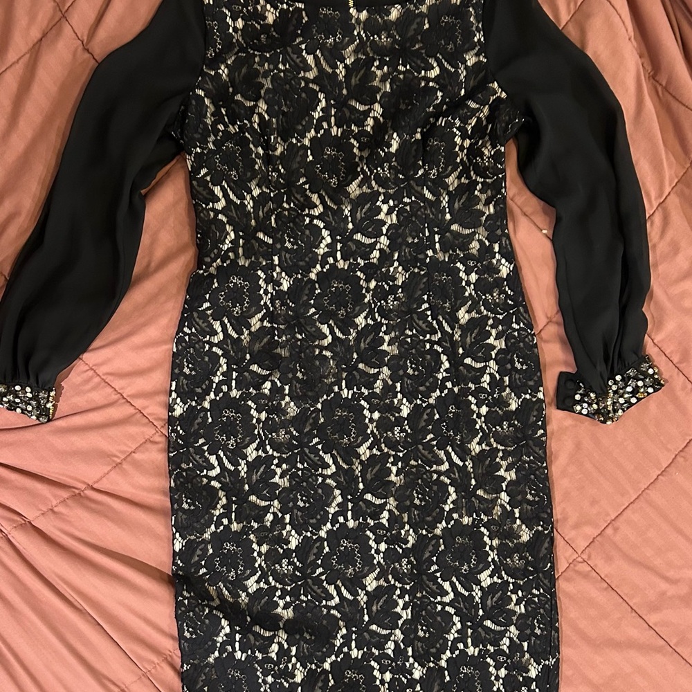 Eliza J Black and Cream Lace Dress with Sheer Sleeves